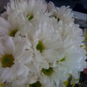 Rita Arias - @thegierl - Twitter