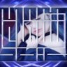 shammam016's profile picture. 💙🌹💙🌹💙🌹💙🌹💙🌹💙🌹💙🌹💙