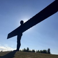 Hpb North_Newcastle (@hpbnorth) 's Twitter Profile