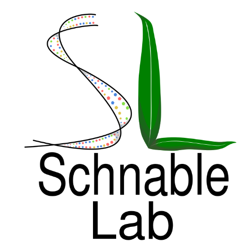 A collective account of the Schnable Lab@UNL. Phenotyping, genetics, and genomics in maize, sorghum and their relatives. #cornhuskercorn Logo by @SciOfCarvalho