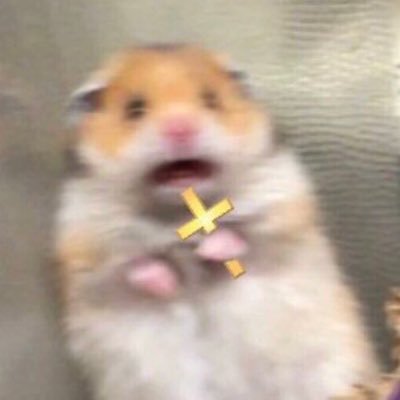 BayPopper's profile picture. ttv baypopper                                               940rr peak