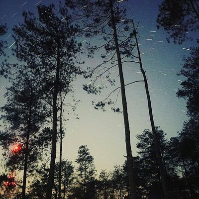 Prastio12171's profile picture. change