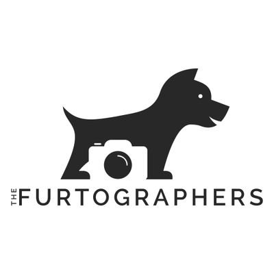 Pet photography serving the greater #Cincinnati area and beyond. Personality driven approach to #petphotography.