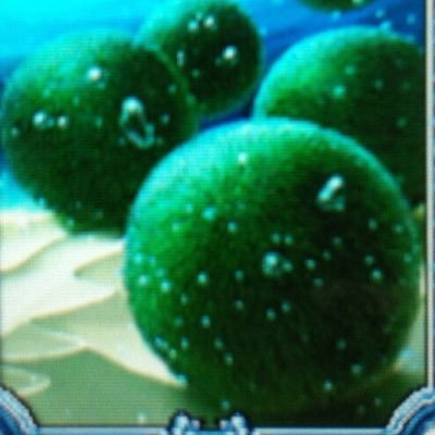 るーPさんのプロフィール画像