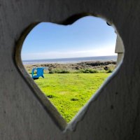 Gillian Flaccus (@gflaccus) 's Twitter Profile Photo