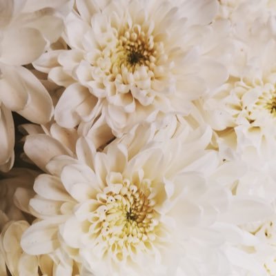 pefifrance's profile picture. 