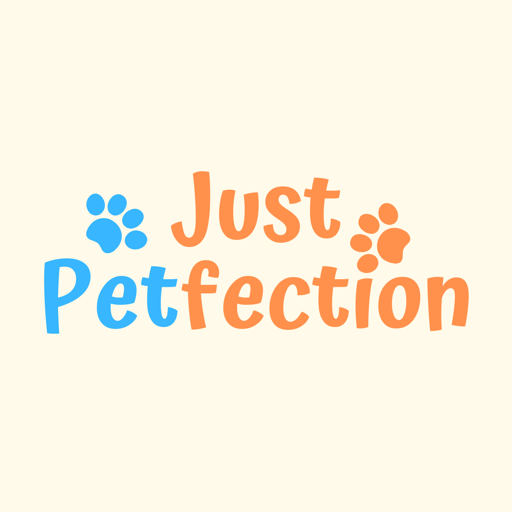 Your timeline does not have enough cute animals! FOLLOW US!