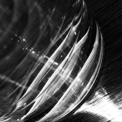 VultureNothing's profile picture. ...