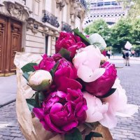 s (@shaymaa1044) 's Twitter Profile
