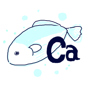 カルシウムさんのプロフィール画像