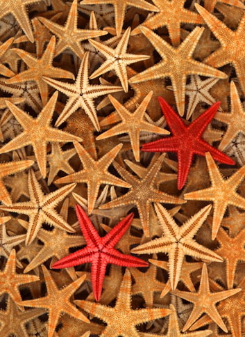 24tangles88's profile picture. 