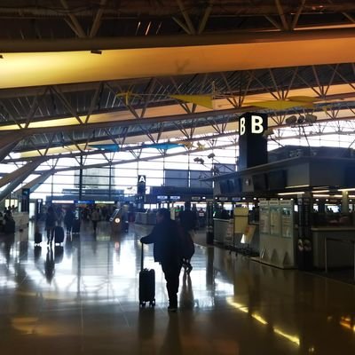 unsungersht's profile picture. 和歌山大学教育学部
STEM(理科教育研究)サークル代表/ 写真部/おれんぢ(テニスサークル)