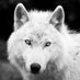 john talbain ๐บ (@glaurug78) Twitter profile photo john talbain ๐บ (@glaurug78) Twitter profile photo