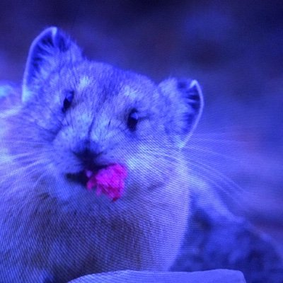 ourchive4real's profile picture. 