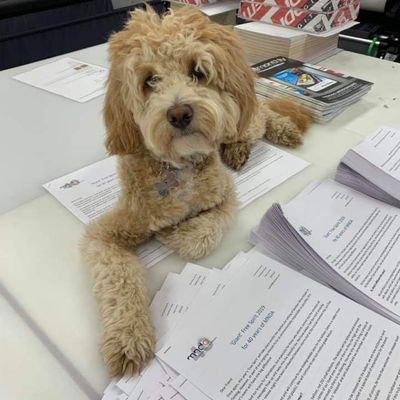 The fast, local, personal printers in Leatherhead with the really cute dog...