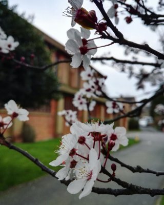 St John's is a Church in the heart of Selsdon, Surrey with a great community spirit.