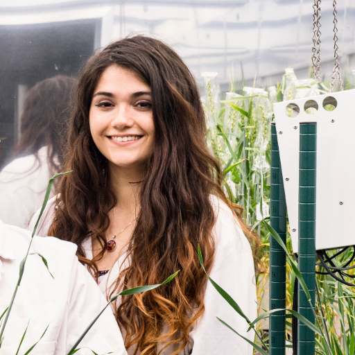 ambernhafeez's profile picture. Crop scientist 🌾