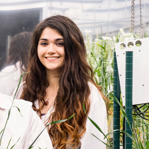 Post-doc unravelling disease resistance @2blades @TheSainsburyLab 👩🏽‍🔬💜 Focus on Asian Soybean Rust in legumes and NLRs in potato