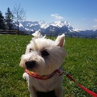 Naomama🇩🇪→🇨🇭 (@naokosteuernag1) 's Twitter Profile