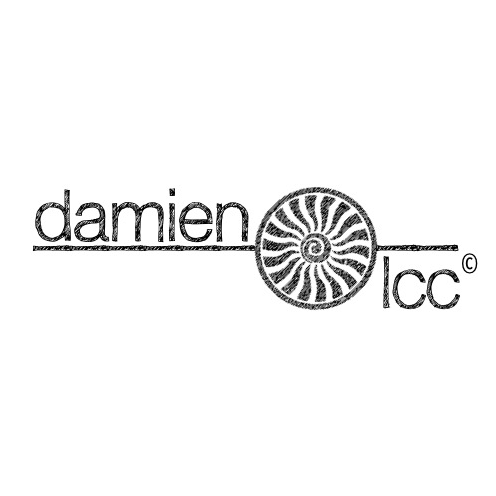 DamienLcc Profile Picture