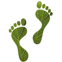 STEPSMistra (@stepsmistra) 's Twitter Profile Photo