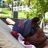 Scorchered's profile image