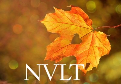 Nith Valley Leaf Trust is a charitable trust which aims to develop sustainable projects and activities for the rural village of Closeburn in Dumfries & Galloway