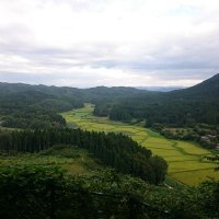アキタSS229 (@ss22910) 's Twitter Profile