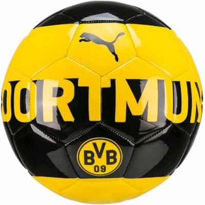 BVB International Academy IL