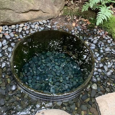 kazu_etc's profile picture. 主に音楽・歴史・F1・PC関連・アウトドア・家電・工具・インテリア・おもちゃ等についてたまにツィートします。雑食で気まぐれですが、皆さんよろしくどうぞ！