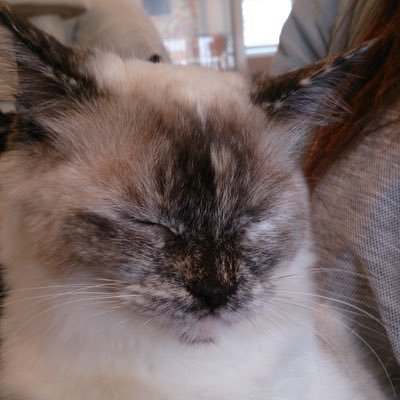 LxqbkBPEB2SDXS0's profile picture. 