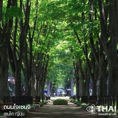 HamzahTyo's profile picture. Silence isn't empty, it's always full of answers 

ความเงียบมันไม่เคยว่างเปล่า
มันมักจะเต็มไปด้วยคำตอบมากมายต่างหาก