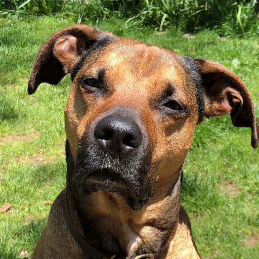 JudyCCronin3's profile picture. It's not happy people who are grateful, it's grateful people who are happy 😍