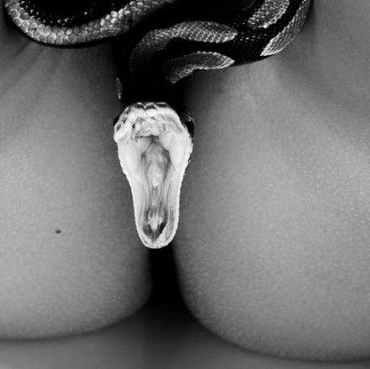 JanuszT11's profile picture. Nic się nie zmieni,jeśli Ty się nie zmienisz/
Zdolnym ludziom nie wystarczy talent.Zdolni ludzie potrzebują zdrowo myślących szefów
I wtedy korzystają wszyscy