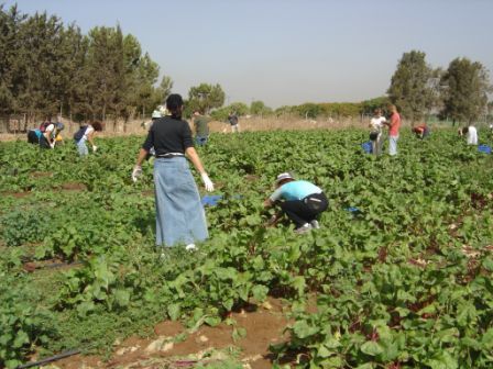 JSAM unites the Jewish People by transforming Cheshvan into a focus for celebrating social action, to bring positive change to the world we live in.
