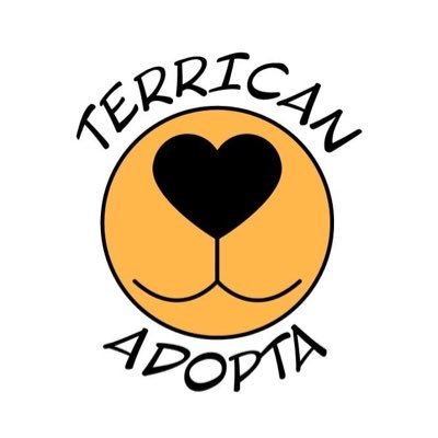 https://t.co/2AAxJSi7CL info@terricanadopta.org.es Asociación para el bienestar animal y adopción de animales.