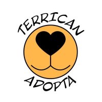 Terrican Adopta(@TAdopta) 's Twitter Profile Photo