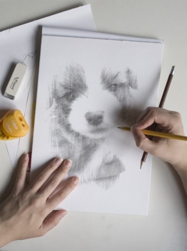 YonseKim's profile picture. male/Music Producer/IT/영화/워런버핏/진보적/Siddhattha Gotama / Jesus