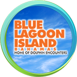 Providing real-time weather data for Blue Lagoon Island and surrounding neighborhoods.