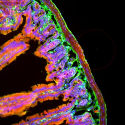 Molecular & Developmental Biology Graduate Program at @CincyChildrens @GradSchoolUC @UofCincy https://t.co/9IYa8TYFHb