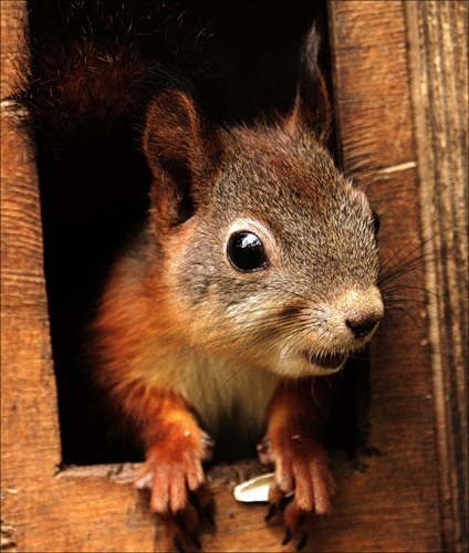 Hello, my Friends! Be interesting!