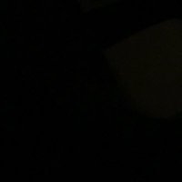 11 (@t7n_s) 's Twitter Profile