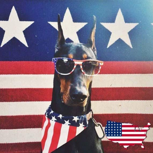 MarkMassie20's profile picture. I  LOVE  MY  FREEDOM  VOTE  FOR  TRUMP  2020