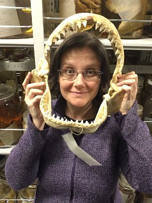 Macroevolutionary biologist working on vertebrates. All opinions my own. she/her.