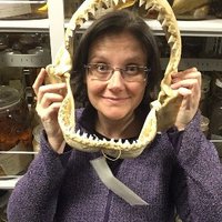 Sam Price (@evovert1) 's Twitter Profile