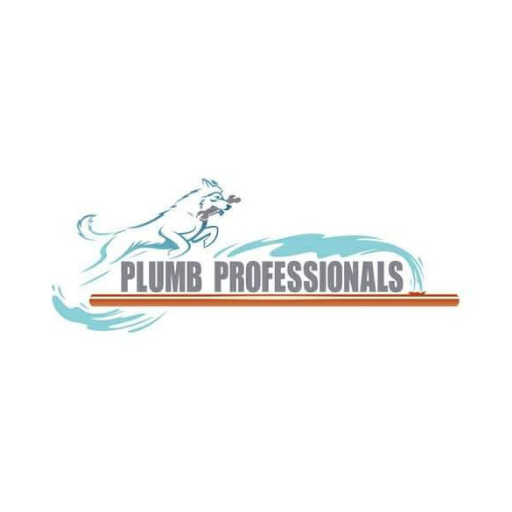 Plumb_pros's profile picture. When it comes to all your plumbing needs, you can count on us to install, fix, or replace your fixtures back to safe and quality condition.