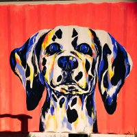 キングパイセン (@777shottas) Twitter profile photo