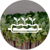 Emerald Gardens (@emeraldgardens5) Twitter profile photo Emerald Gardens (@emeraldgardens5) Twitter profile photo