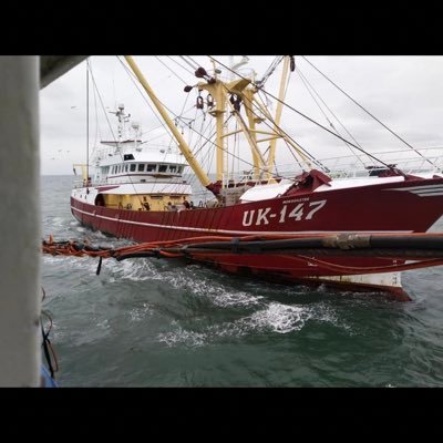 Janoost292's profile picture. 