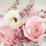 hobbslinz_linda's profile picture. 